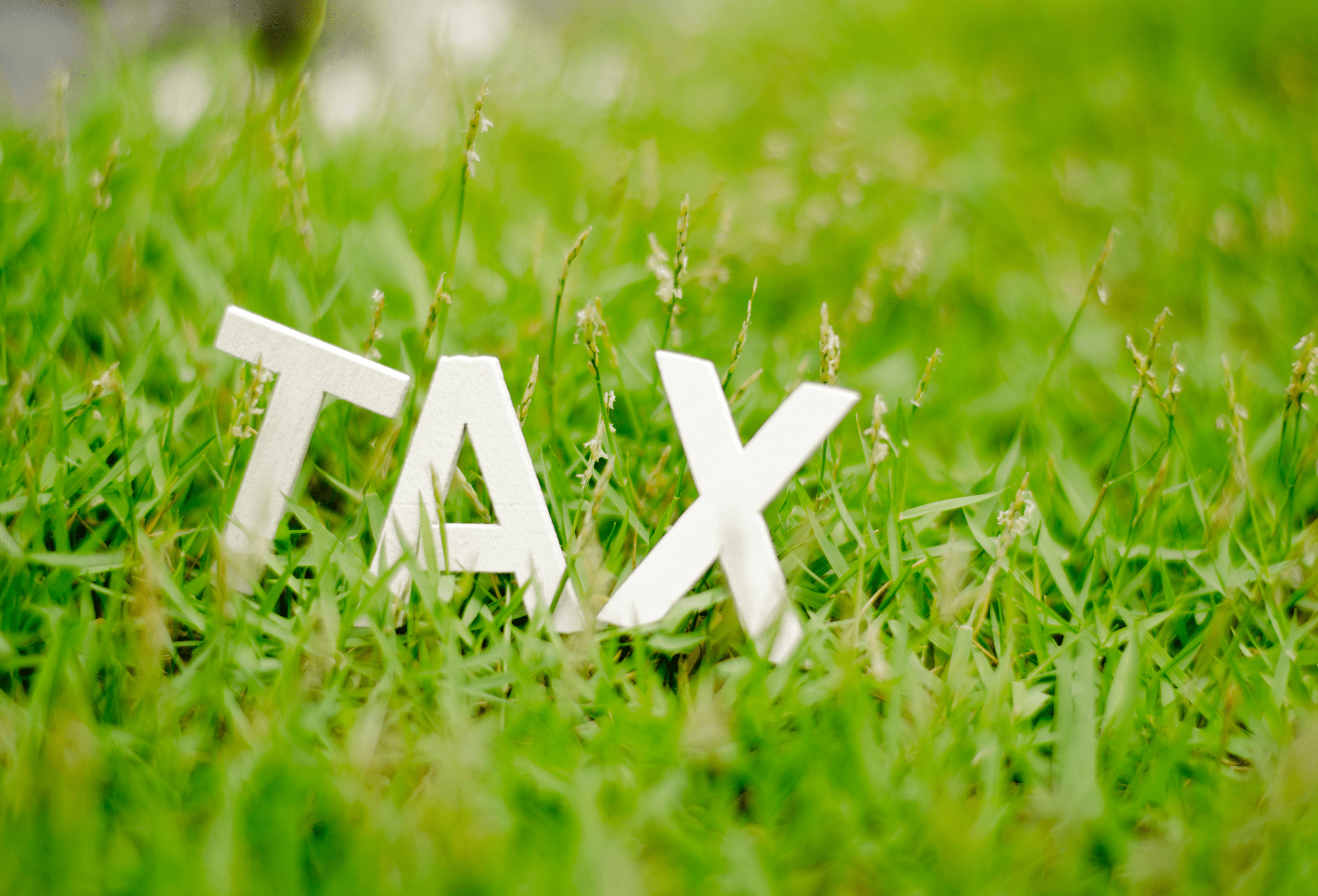 Wyłączenie z opodatkowania VAT transakcji między członkami grup VAT – jak to działa?